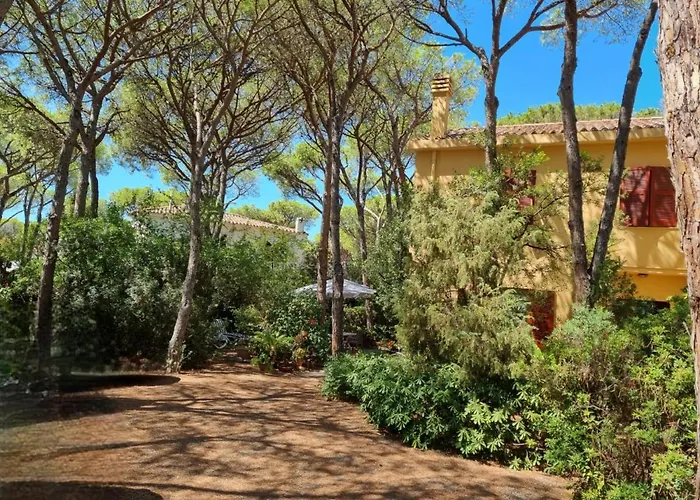 Il Richiamo Del Mare